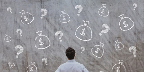 Man looking at a wall with money bags and question marks