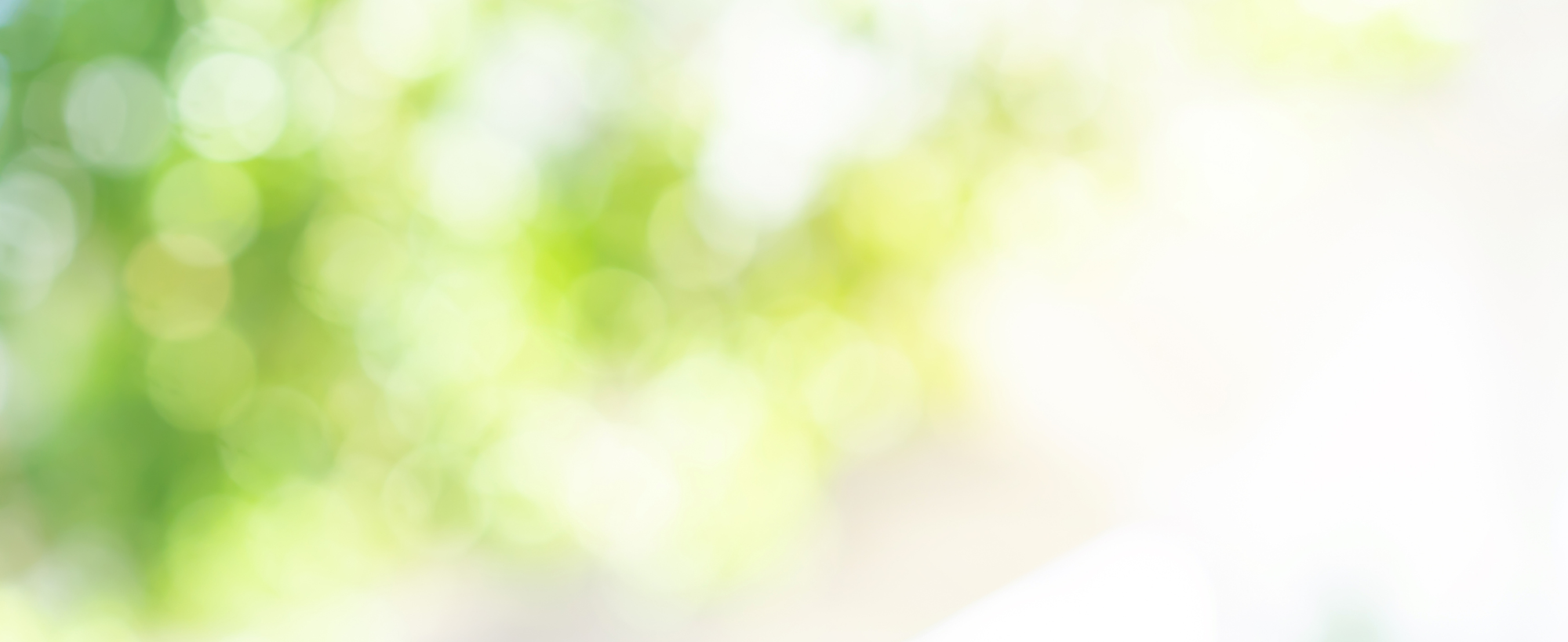 Sunshine through trees.